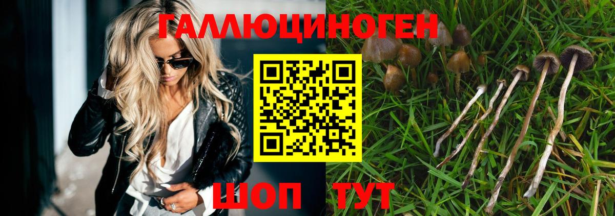 Галлюциногенные грибы GOLDEN TEACHER Алушта
